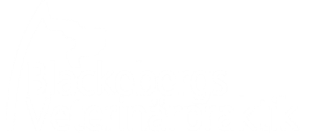 Blackebergs veterinärpraktik